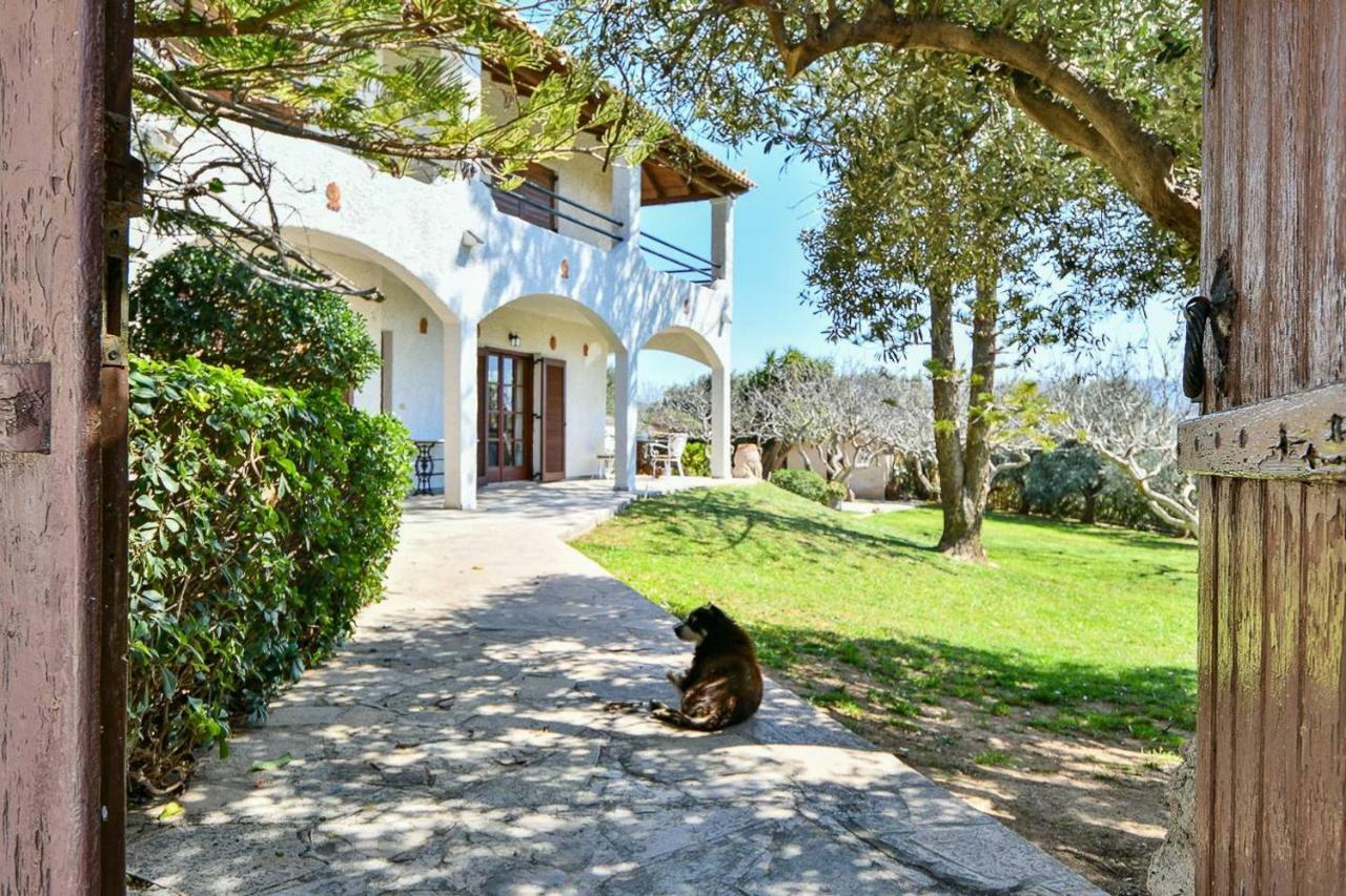 Light-Filled Home With Garden Near Beach Anavyssos Exteriér fotografie
